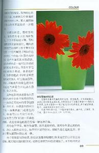 （圖）《攝影大師的創意秘訣》