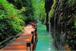 棋子山森林公園 棋子山森林公園