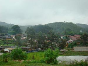 小莽林自然村 小莽林自然村