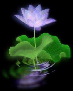 青帝[仙俠小說《遮天》中的妖帝]