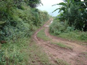 扎布河村 扎布河村