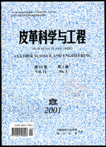 《皮革科學與工程》