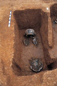 赫章可樂發掘古墓套頭葬