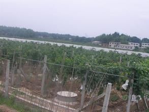 五里墩鄉 五里墩鄉