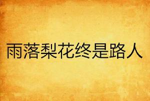 雨落梨花終是路人 雨落梨花終是路人