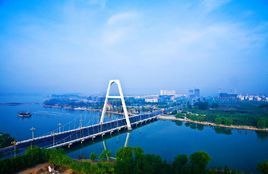 蔬菜之鄉 蔬菜之鄉