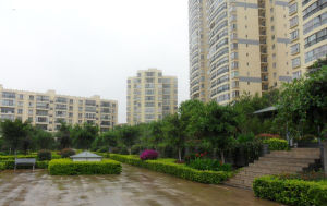 昆明都市春天 昆明都市春天