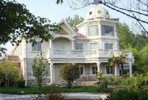 五號街坊 五號街坊