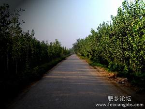 借眼看家 借眼看家