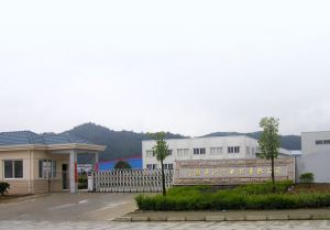 寧國市滬寧電器有限公司