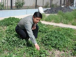 王明玖[內蒙古農業大學生態環境學院院長]