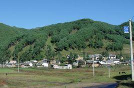 豐樂鄉[四川渠縣豐樂鎮]