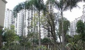 雲山花園 雲山花園