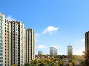 金石藍郡 金石藍郡