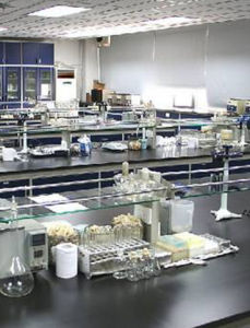 霍桑實驗 霍桑實驗