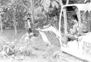 （圖）廣青農場