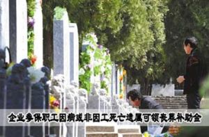 因工死亡補助金 因工死亡補助金