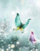 穿越之我是梁山伯 穿越之我是梁山伯