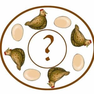 先有雞還是先有蛋 先有雞還是先有蛋