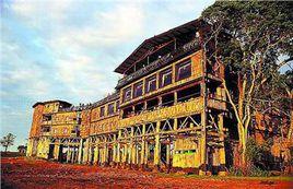 樹頂酒店 樹頂酒店