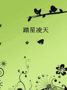 踏星凌天 踏星凌天