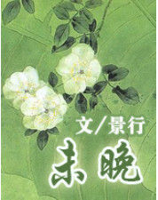 未晚 未晚