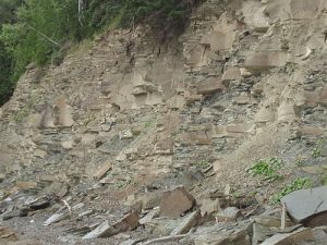 米加沙國家公園：化石遺址