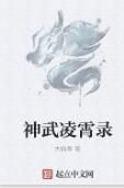 神武凌霄錄 神武凌霄錄
