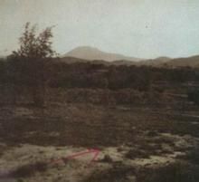 百花洞戰鬥 百花洞戰鬥