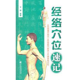 經絡穴位速記 經絡穴位速記