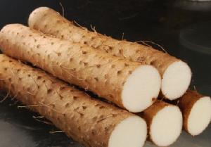 梧桐山藥 梧桐山藥