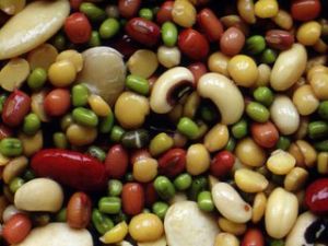 隴鷹2號 隴鷹2號