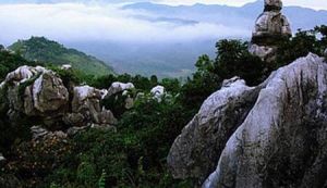 文山石林 文山石林