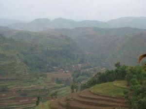 王家坪村 王家坪村