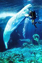 成都極地海洋世界一角