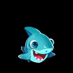 小鯊魚 小鯊魚