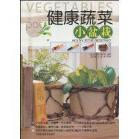 《健康蔬菜小盆栽》