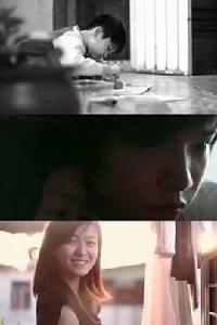 野犬與貓咪 野犬與貓咪