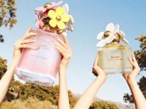 小雛菊香水 小雛菊香水