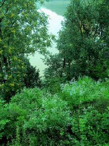 萬安村[河南省嵩縣庫區鄉萬安村]