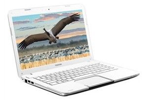 東芝 L800-C15W(雪晶白) 東芝 L800-C15W(雪晶白)