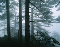 彭州湔江國家濕地公園 彭州湔江國家濕地公園