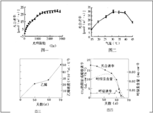 韭菜定律 韭菜定律