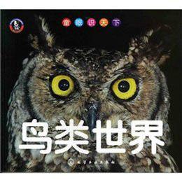 鳥類世界 鳥類世界