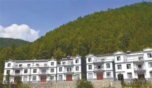 店子坪村 店子坪村