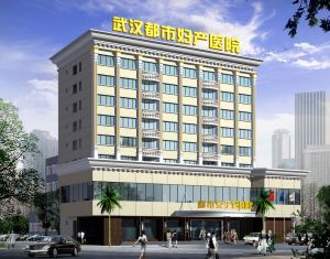 武漢都市婦產醫院 武漢都市婦產醫院