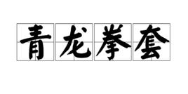 青龍拳套 青龍拳套