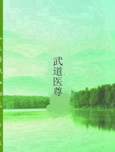 武道醫尊 武道醫尊