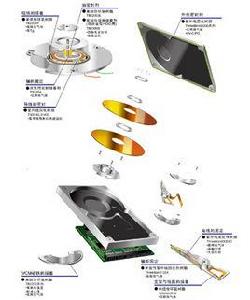 電子領域 電子領域