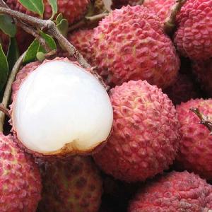 殺酶噴酸保色法 殺酶噴酸保色法